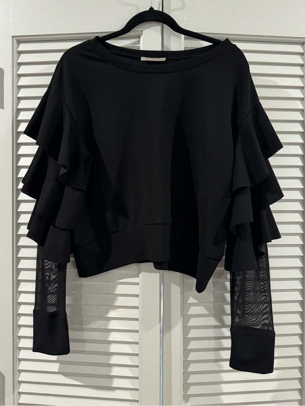 Jasmine Black Ruffle Sleeve Top with Sheer Mesh Cuffs